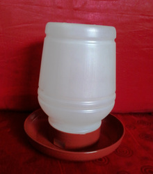 Chicken Food plate container